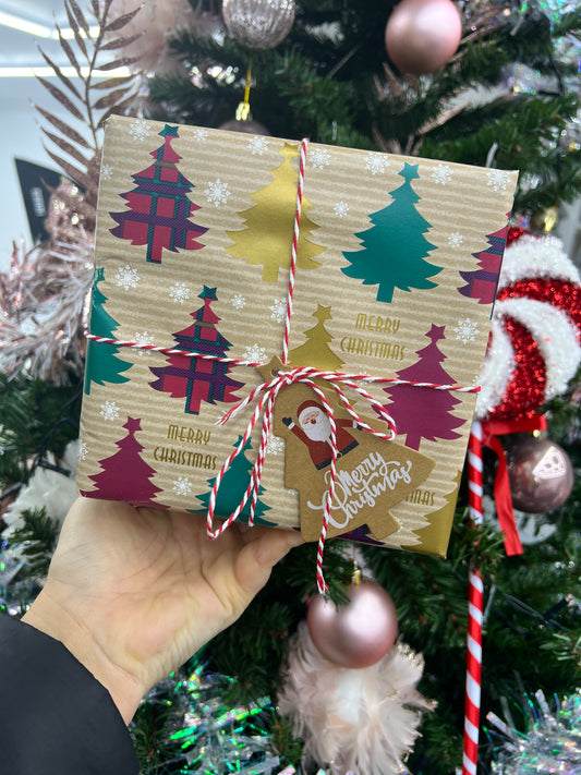 Mystery Christmas Present